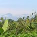 2005_indonesiatrip_273_2